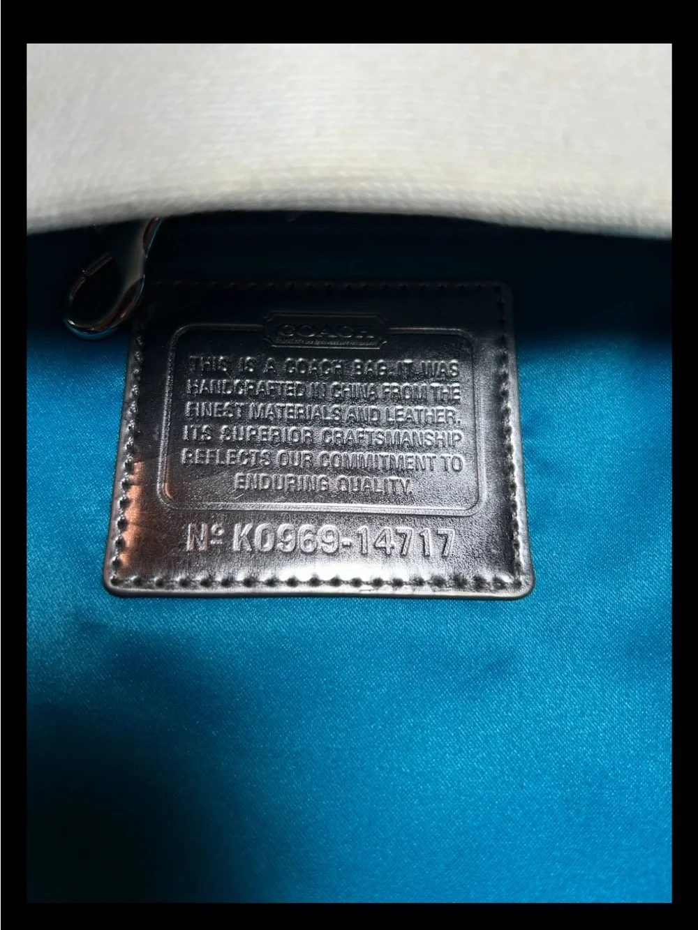 Coach Poppy-Chan “MINTY” Canvas Glam Tote, LIMITED EDITION 2009 Style: (14717)